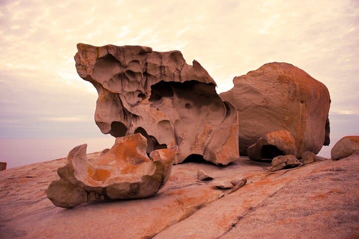 Kangaroo Island in a Day: Seal Bay, Remarkable Rocks, and Flinders Chase Highlights photo 3