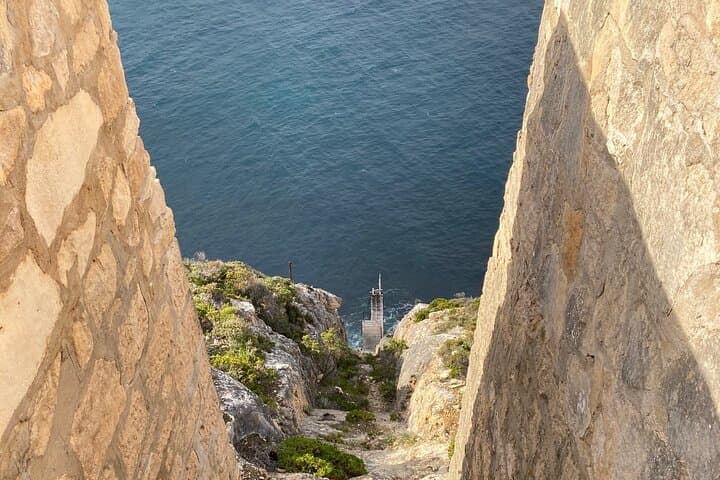 Kangaroo Island in a Day: Seal Bay, Remarkable Rocks, and Flinders Chase Highlights photo 4