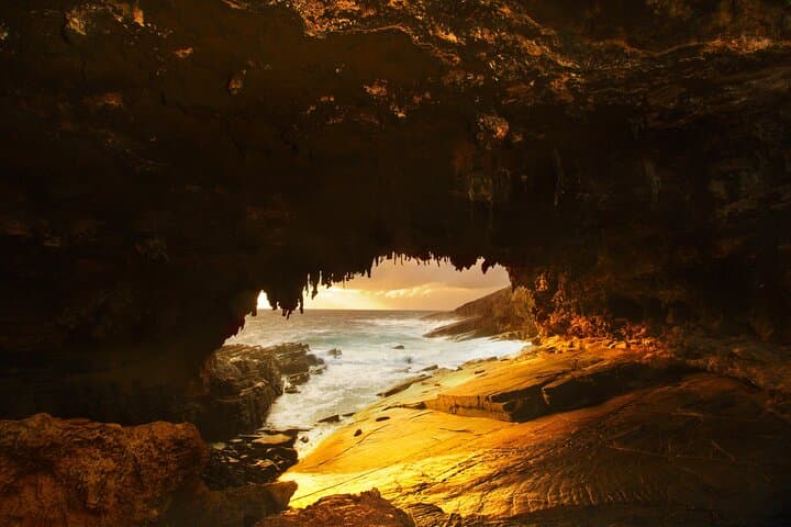 Kangaroo Island in a Day: Seal Bay, Remarkable Rocks, and Flinders Chase Highlights photo 5