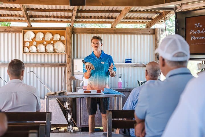 Helicopter to Willie Creek Pearl Farm: Cable Beach Flight, Live Pearl Harvest & Lunch photo 3