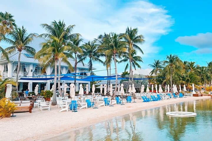 Cayman Ultimate Tour: Stingray City Snorkeling & Beach Lunch photo 4