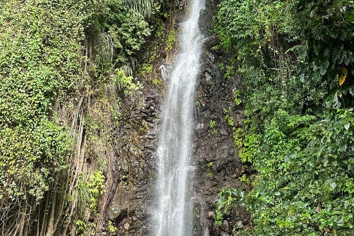 Dark View Falls: Leeward Coast Waterfall Walk and Swim from Kingstown photo 2