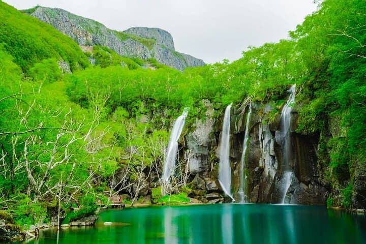 7-Day Private Tour: Changchun, Yanji & Changbai Mountain Adventure photo 3