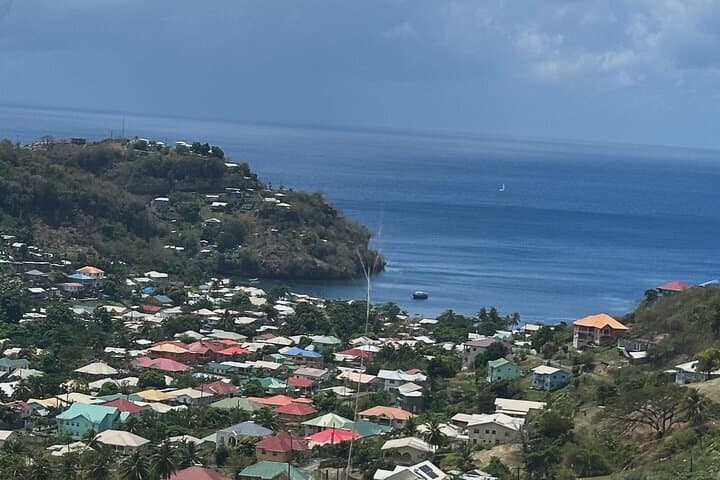 Dark View Falls: Leeward Coast Waterfall Walk and Swim from Kingstown photo 5