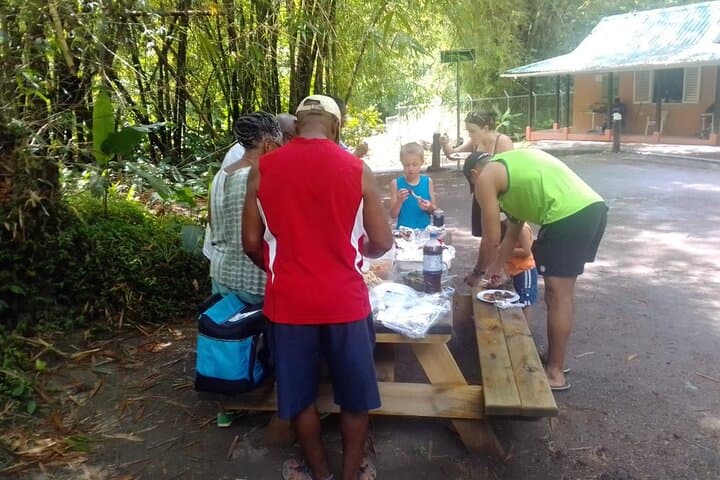 Dark View Falls: Leeward Coast Waterfall Walk and Swim from Kingstown photo 6