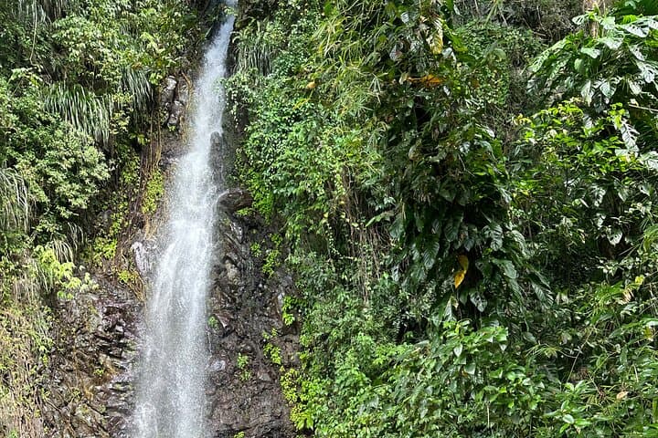 Dark View Falls: Leeward Coast Waterfall Walk and Swim from Kingstown