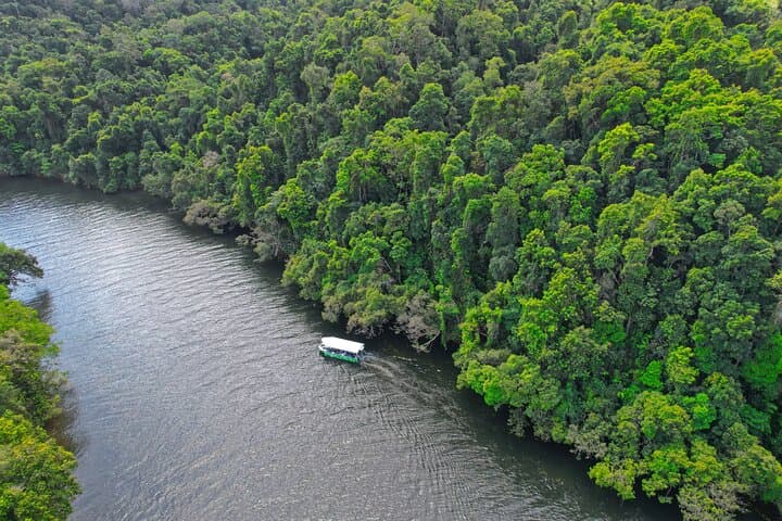 Daintree River Cruise — 1‑Hour Wildlife & Mangrove Explorer photo 2