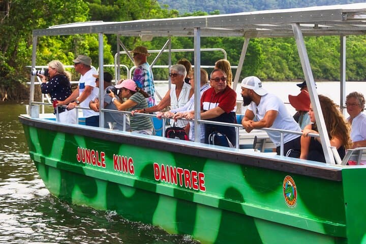 Daintree River Cruise — 1‑Hour Wildlife & Mangrove Explorer photo 3