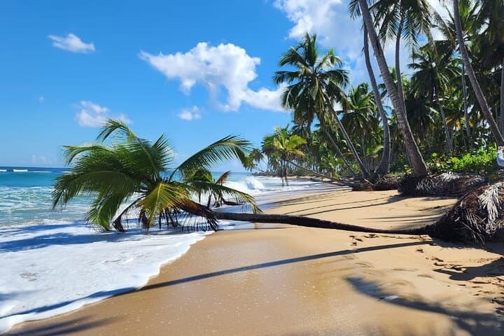 Punta Cana ATV Adventure: Macao Beach, Caves & Cocoa Farm — Private 3-Hour Ride photo 4