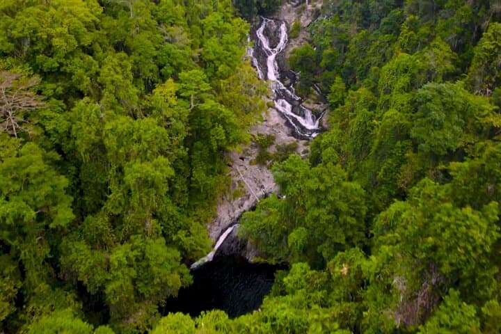Daintree Waterfall Hike, Swim and Crocodile Cruise — Full-Day Rainforest Experience photo 6