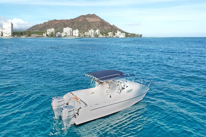 Private Waikiki Boat Cruise: Snorkel, Sightseeing & Marine Life