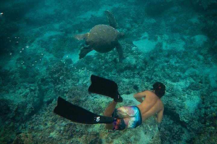 Private Waikiki Boat Cruise: Snorkel, Sightseeing & Marine Life photo 4