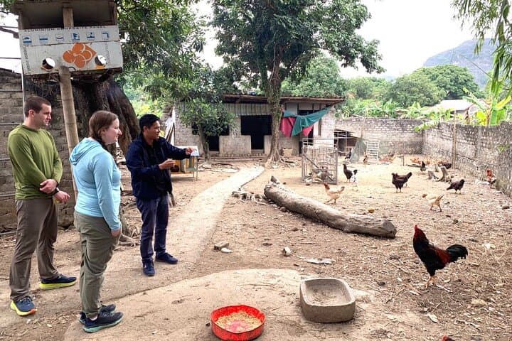 Mua Cave Tam Coc Hoa Lu Private Day Tour: Boat, Cycle & Local Family Visit photo 6