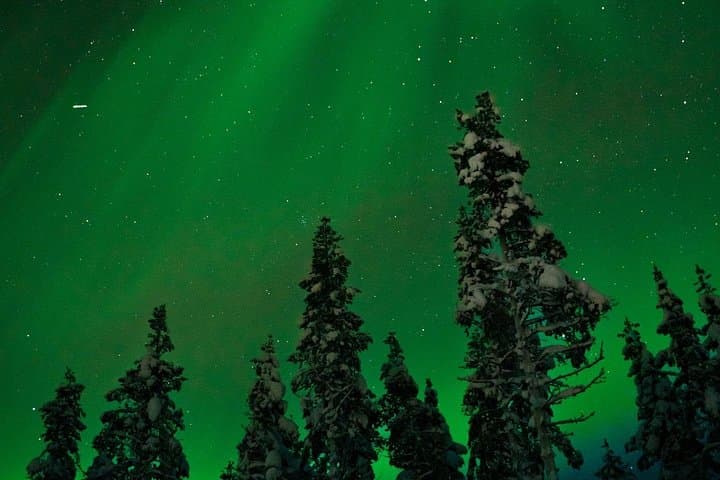Northern Lights Reindeer Sledge Ride in Rovaniemi - Arctic Night Safari photo 3