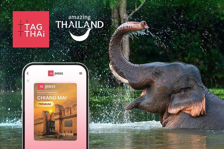 Chiang Mai City Premium Day Pass: Zipline, Temples & Top Attractions in One Day
