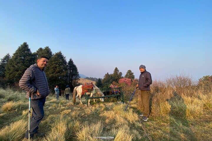 Poon Hill & Mardi Himal Base Camp: 8-Day Annapurna Sunrise Trek from Pokhara photo 2