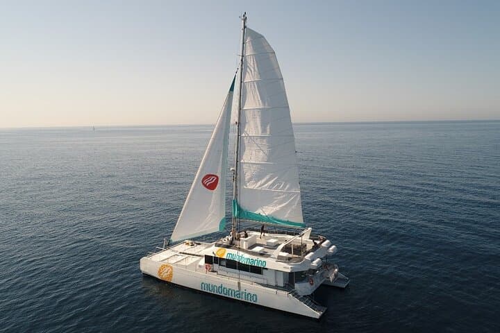 Malaga Catamaran Swim Stop — Relaxing 90‑Minute Mediterranean Cruise