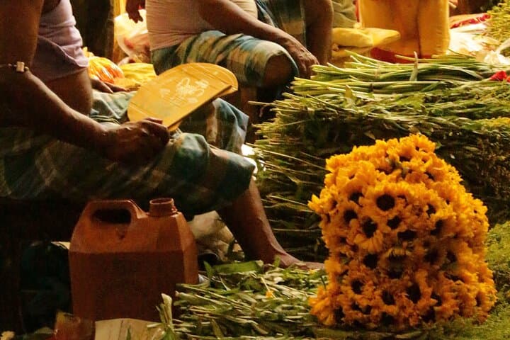 Chasing the Sun: Kolkata Morning Culture Walk from Victoria Memorial photo 4