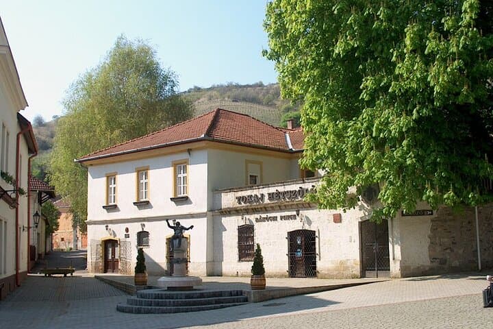 Two-Day Tokaj Boat Trip, City Tour & Wine Tasting on the Bodrog photo 5