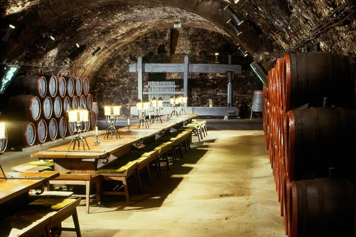 Tokaj Day Boat Trip on the Bodrog: City Tour, Vineyard Visit & Wine Tasting