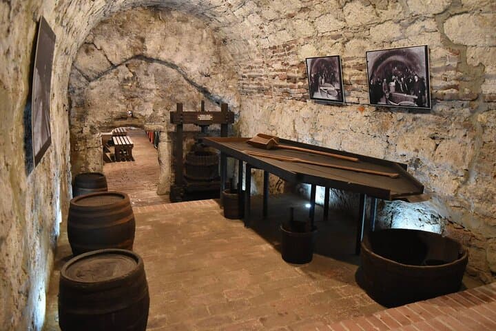 Two-Day Tokaj Boat Trip, City Tour & Wine Tasting on the Bodrog photo 6