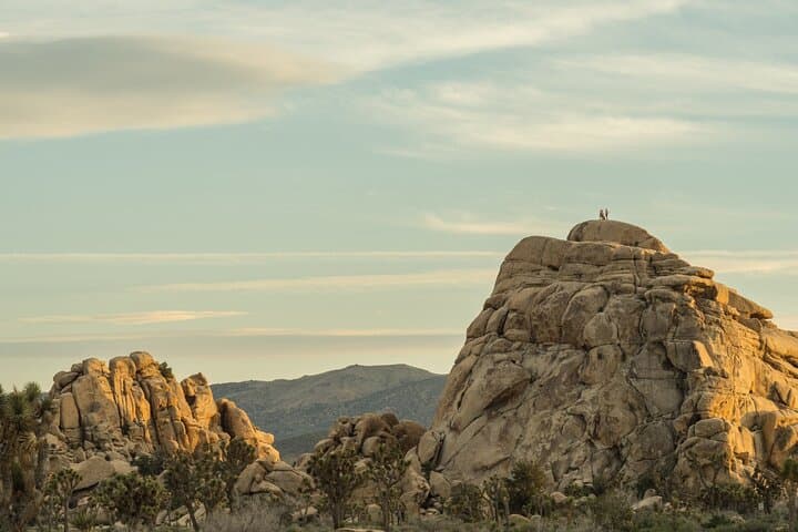 Hidden Valley Nature Trail Self-Guided Walking Tour — Joshua Tree National Park photo 2