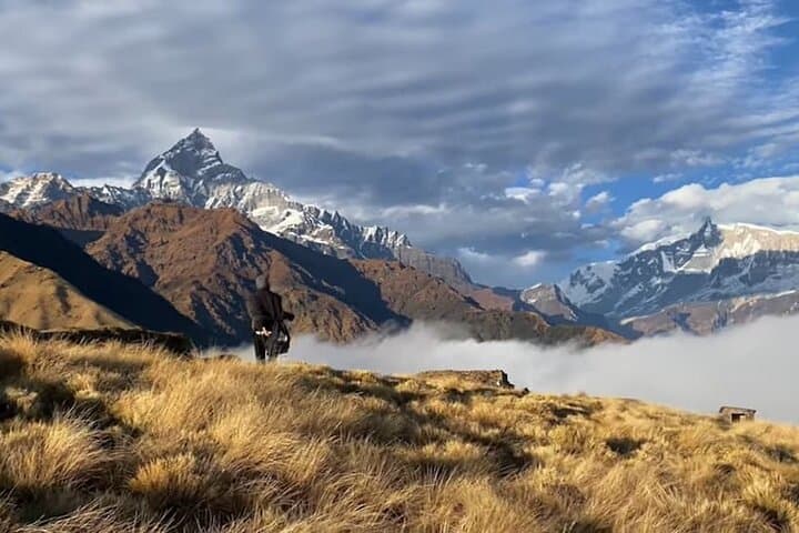 Khumai Danda Trek: 3-Day Korchan Danda Sunrise Trek from Pokhara