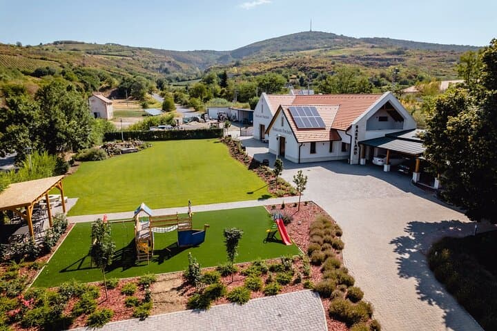 Two-Day Tokaj Boat Trip, City Tour & Wine Tasting on the Bodrog photo 3