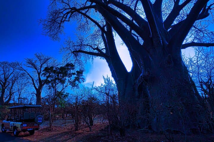 Victoria Falls Night Stargazing & Bonfire Adventure