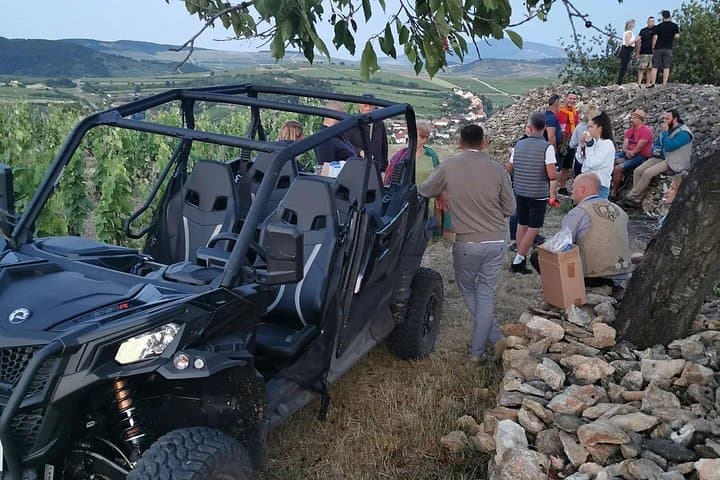 Half-Day Tokaj Wine Tasting Tour in Mád, Hungary — Vineyard Walk, Cellar Labyrinth & Lunch
