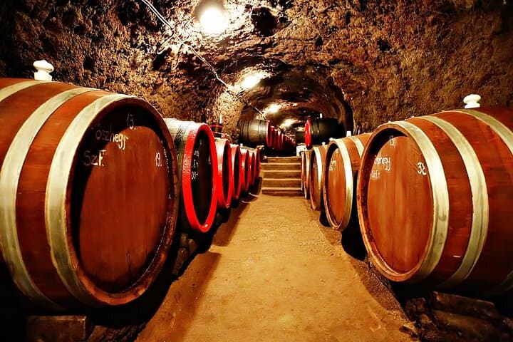 2-Day Tokaj Wine Tour in Mád, Hungary — Vineyards, Cellars & Local Cuisine photo 3