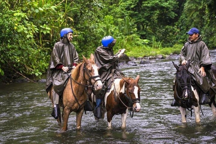 Private 8-Day Costa Rica Luxury Tour: Cloud Forests, Arenal & Caribbean Coast photo 2
