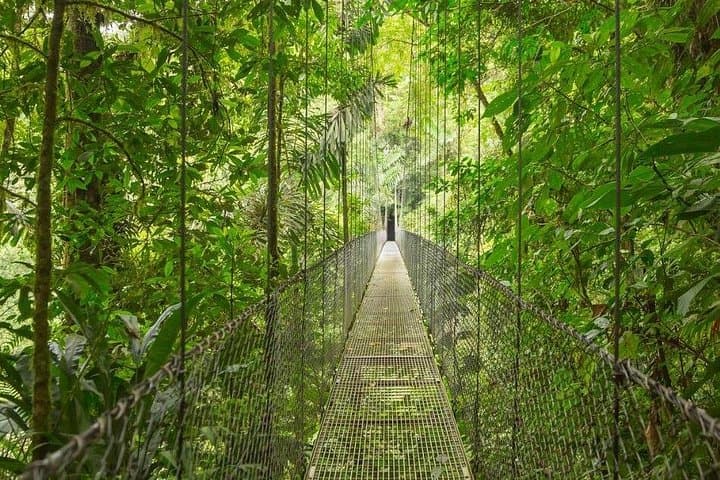 Private 8-Day Costa Rica Luxury Tour: Cloud Forests, Arenal & Caribbean Coast photo 4