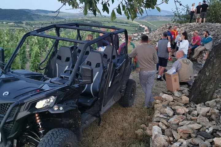 2-Day Tokaj Wine Tour in Mád, Hungary — Vineyards, Cellars & Local Cuisine photo 6