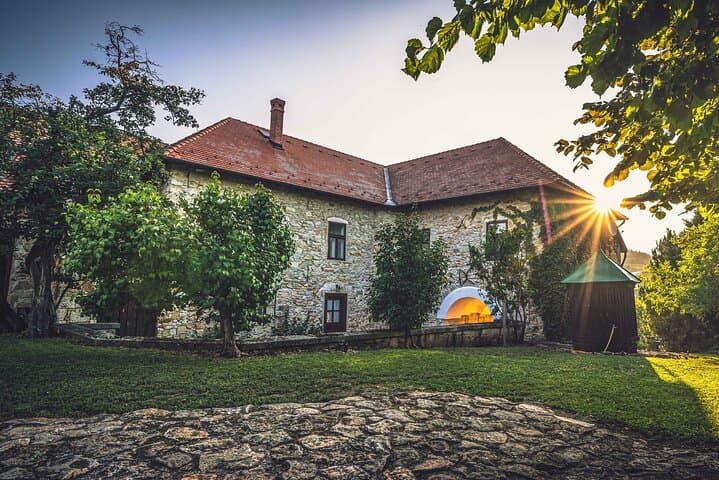 2-Day Tokaj Wine Tour in Mád, Hungary — Vineyards, Cellars & Local Cuisine