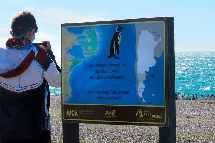 Visiting Estancia San Lorenzo — Walk Among 600,000 Magellanic Penguins at Peninsula Valdés photo 4