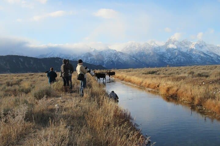 Grand Teton Wildlife Day Tour: Private Guided Photo and Nature Expedition photo 2