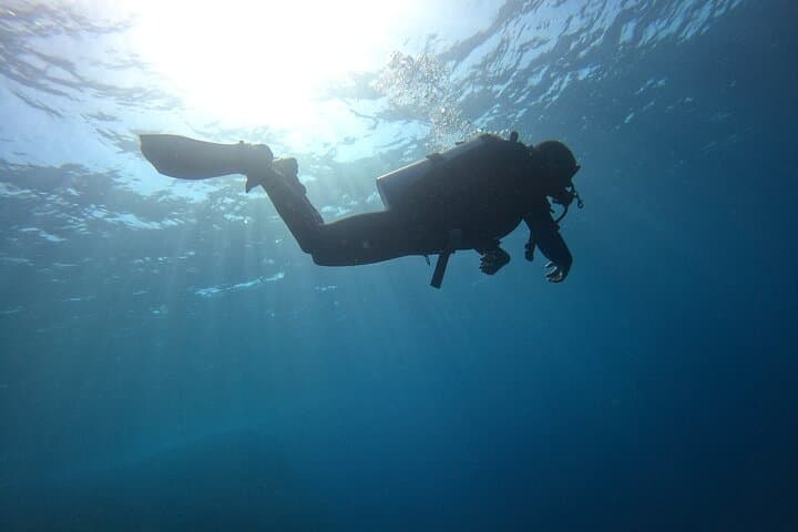 Chania Shore Scuba: Two Guided Dives & SSI Basic Diver Certification photo 4