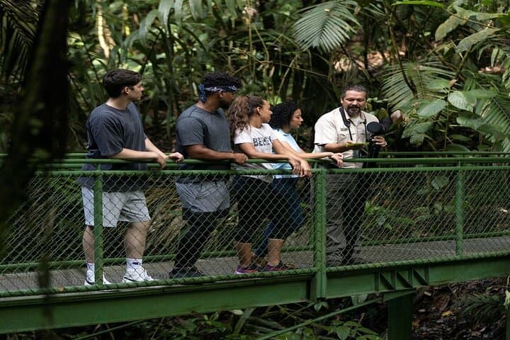 Arenal Volcano Signature Escape: Lake Cruise, Rainforest Walk & Hot Springs photo 3