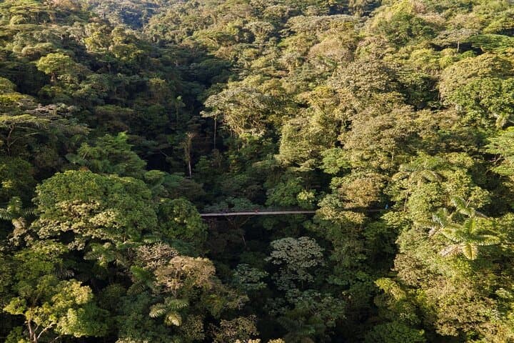 Arenal Volcano Signature Escape: Lake Cruise, Rainforest Walk & Hot Springs photo 4