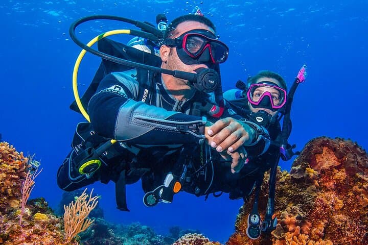 Miami 2-Tank Scuba Diving: Reefs & Wrecks from Bill Bird Marina photo 4