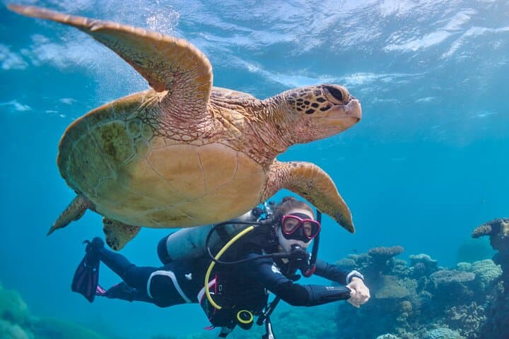 Miami 2-Tank Scuba Diving: Reefs & Wrecks from Bill Bird Marina photo 2