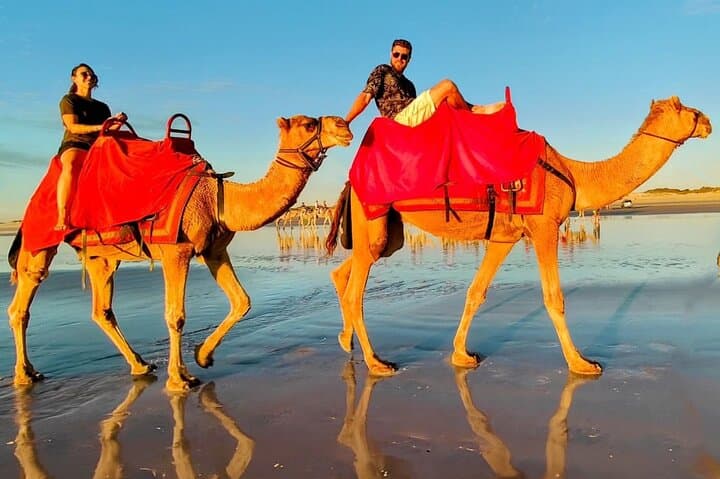 Tangier Camel Ride & Caves of Hercules Tour at Cap Spartel