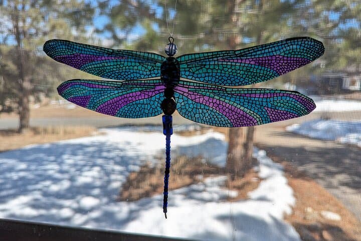 Create a Dragonfly Suncatcher in Estes Park — Easy Art Kit & Drop‑In Class photo 4