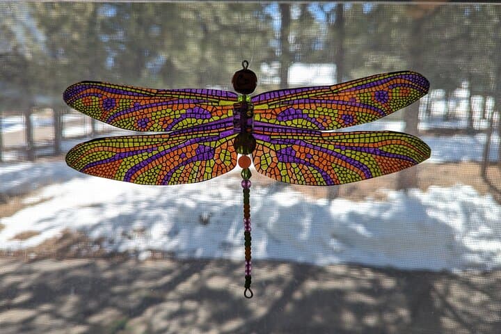 Create a Dragonfly Suncatcher in Estes Park — Easy Art Kit & Drop‑In Class photo 6