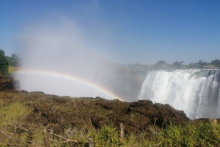 Victoria Falls (Zimbabwe Side) Guided Tour — Rainforest Walk, Big Tree & Viewpoints photo 4