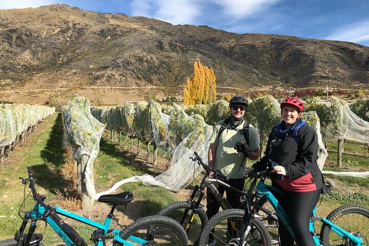 Guided eBike Wine Tour Ride to the Vines — Queenstown eBike & Winery Experience photo 3
