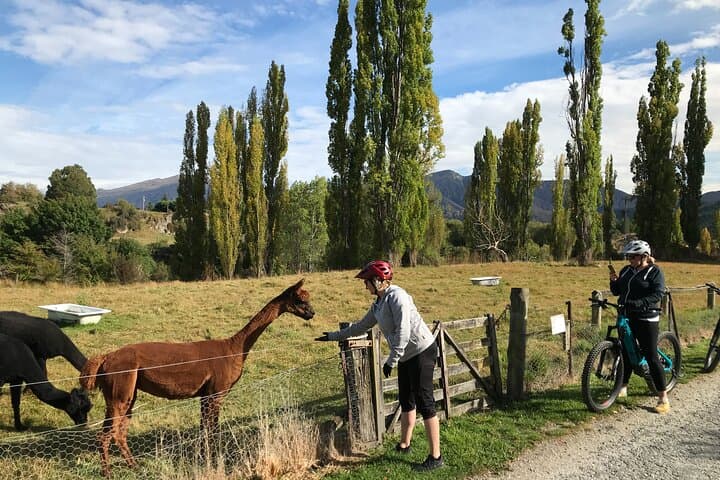 Guided eBike Wine Tour Ride to the Vines — Queenstown eBike & Winery Experience photo 4