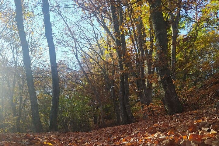 Chortiatis Mountain Hike from Thessaloniki — Icemaker's Trail to Kolosourtis Summit photo 3