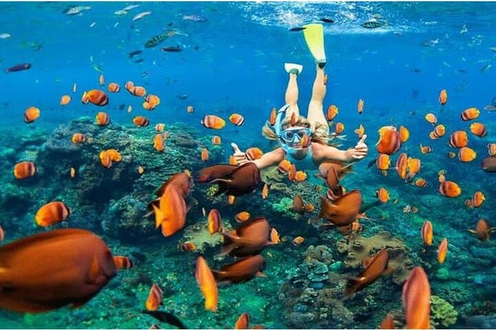 Nusa Penida Snorkel and Island Tour: Manta Bay, Kelingking & Angel's Billabong